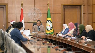 محافظ الدقهلية يشدد على زيادة معدلات تنفيذ محور المشاية بالمنصورة 