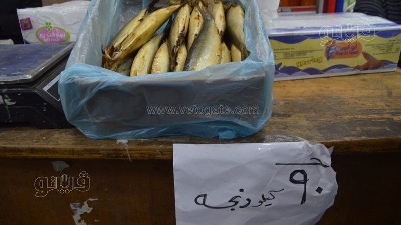 الرنجة في المجمعات