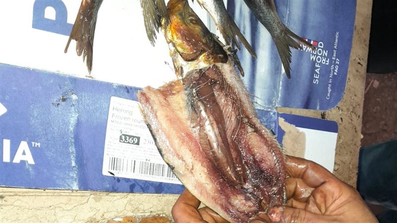 ضبط ٨.٥ طن رنجة فاسدة
