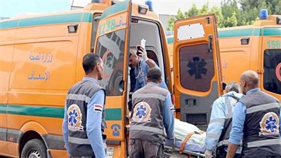 إصابة 8 أشخاص في انقلاب ميكروباص على طريق دسوق - كفر الشيخ 