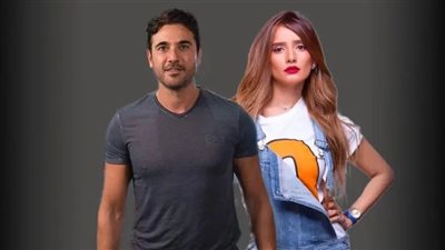 تأجيل دعوى زينة ضد أحمد عز المطالبة بالنفقة أو الحبس لـ 20 مايو