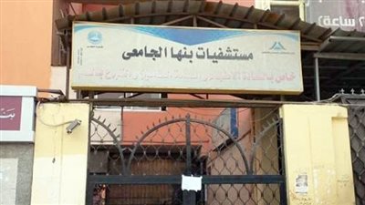 وزير التعليم العالي يهنئ رئيس جامعة بنها بعيد ميلاده وخروجه على المعاش