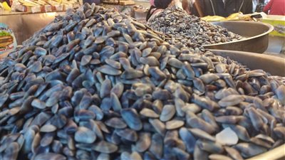 أم الخلول والحباش الدمنهوري أشهر مقبلات مائدة رمضان بمحافظة البحيرة (صور)