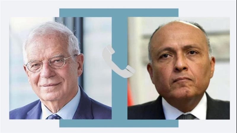 سامح شكري وزير الخارجية،