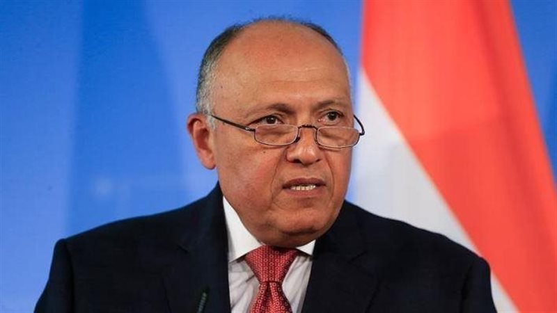 سامح شكري، فيتو