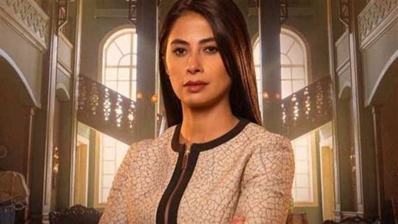 الفنانة روبي، فيتو
