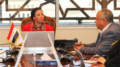 البيئة تناقش مقترحا لإقامة النسخة المصرية لسباق الرمال بمحمية وادى الريان