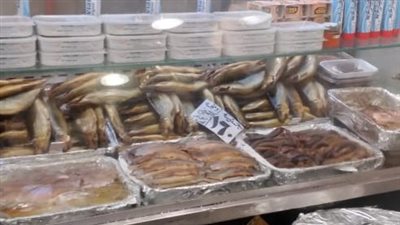 حملات مكثفة على أسواق الإسكندرية 