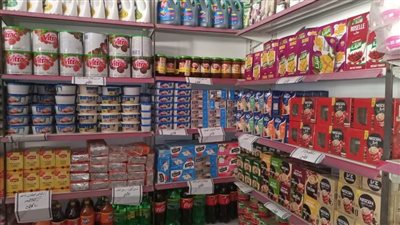 حملات مشتركة مع الرقابة الإدارية ومحافظة الشرقية لضبط الأسعار 