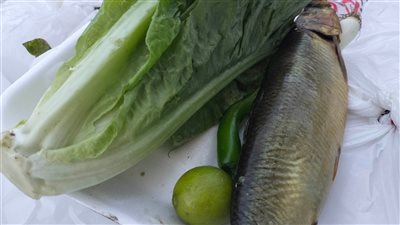 شباب يوزعون رنجة وبصل على الصائمين في المنوفية (صور)