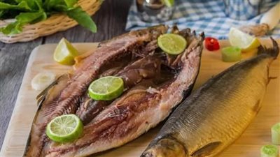 الرنجة تواجه خطر الانقراض، لهذا السبب