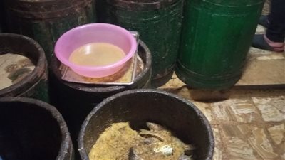 حملات تموينية على أسواق الأسماك المملحة بالإسكندرية 