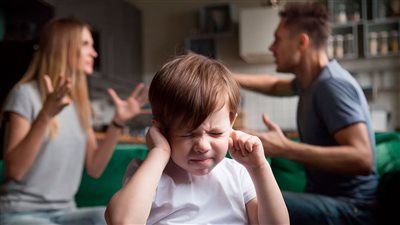 أبرزها التوسع في العيادات النفسية.. توصيات مجلس الشيوخ لمواجهة العنف الأسري