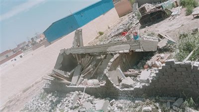 حملات لإزالة التعديات على الأراضي الزراعية في أحياء الإسكندرية 