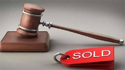 مزاد علنى لتأجير قطعة أرض فضاء بحديقة شجرة الدر بالمنصورة 