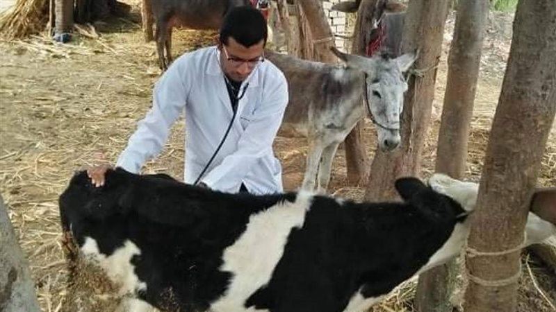 تحصين ضد حمى الوداعي
