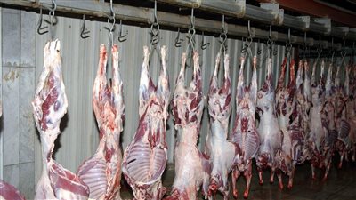 ضبط لحوم فاسدة في حملات تفتيش قبل العيد بقنا