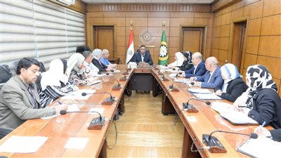 محافظ الدقهلية: تنفيذ 6 مشروعات بتمويل إضافي 138 مليون جنيه