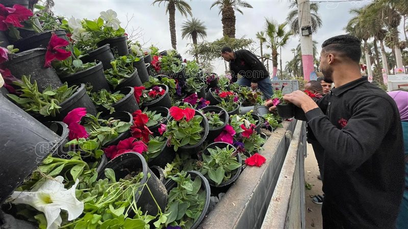 معرض الزهور، فيتو