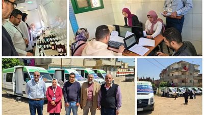 الكشف على 1157 مواطنا خلال قافلة طبية بقرية أبو الخاوي بالبحيرة (صور)