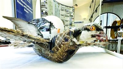 تحويل الطيور النافقة إلى طائرات مسيرة