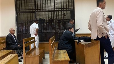 إعادة مرافعة دفاع المتهمين في قضية وفاة الصيدلي ولاء زايد وتأجيلها لجلسة 20 مايو ( صور)