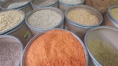 أسعار البقوليات اليوم الأحد 30-4-2023 في أسواق المنيا