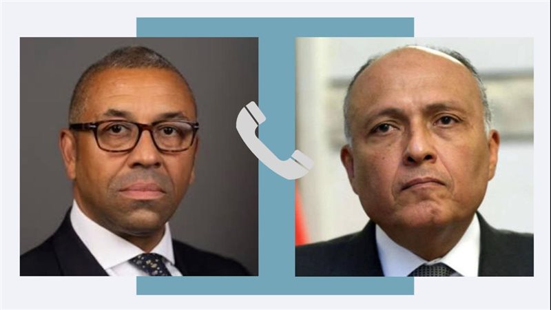 سامح شكرى وزير الخارجية