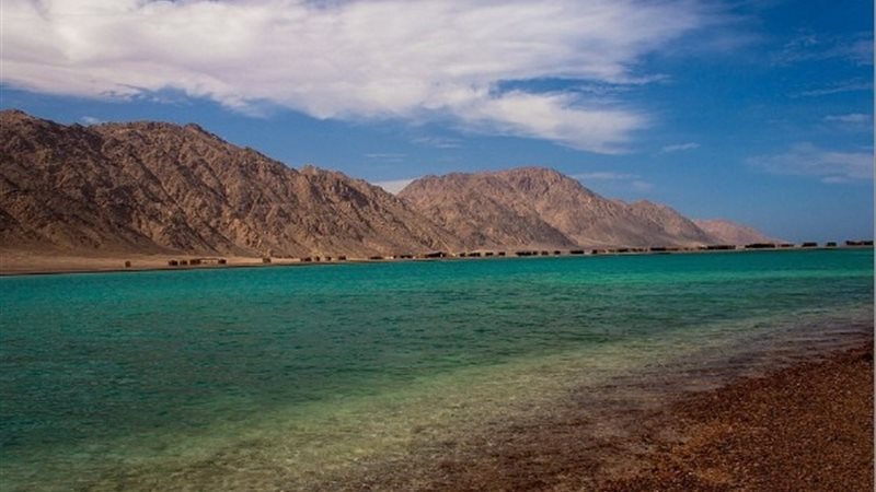 أبو جالوم، فيتو