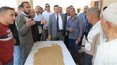 محافظ المنوفية يتابع بدء أعمال توريد محصول القمح بصوامع قويسنا