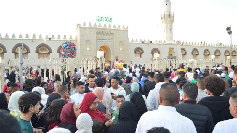 اختلاط السيدات والرجال