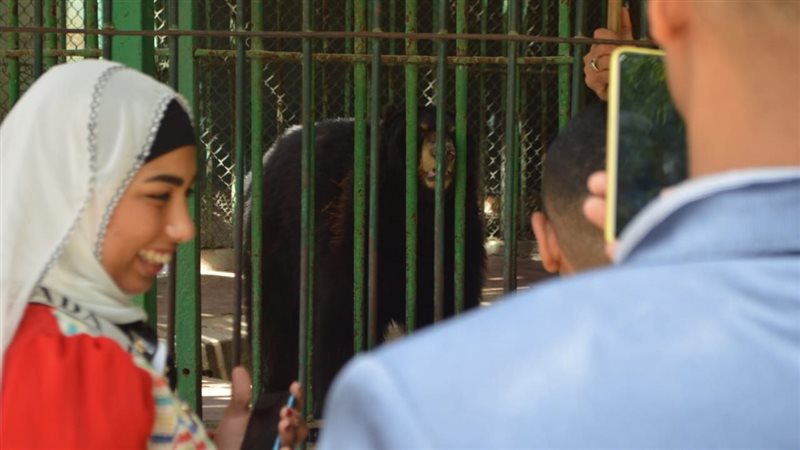 فرحة الزوار بحديقة