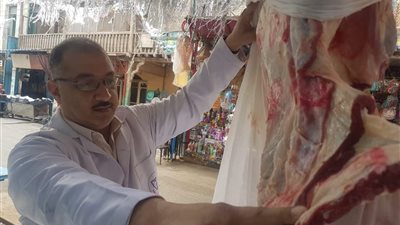  الزراعة تتصدى للتعديات على الأراضي وتواصل التفتيش على الأسواق في أول أيام العيد