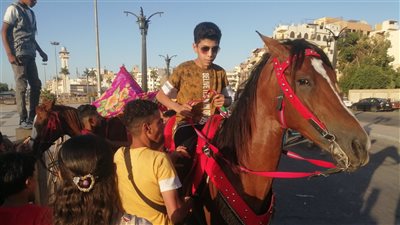 اللفة بـ 10 جنيهات.. أطفال الأقصر يحتفلون بثاني أيام عيد الفطر (فيديو) 
