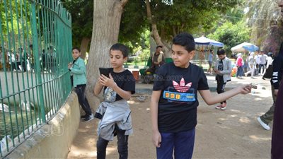 احتفالا بثاني أيام عيد الفطر.. طفل يطعم البجعة في حديقة الحيوان (فيديو) 