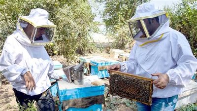 حياة كريمة تطلق مبادرة تدريب أهل الغربية على العمل في المناحل