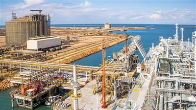 منها ناقلة غاز مسال.. تداول 38 سفينة بضائع بميناء دمياط