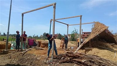 إزالة تعد على أرض زراعية في بلقاس بالدقهلية (صور)