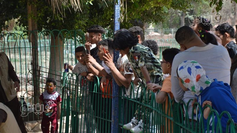 حديقة الحيوان، فيتو