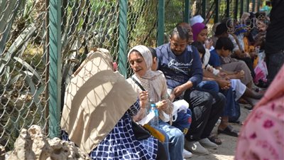 رنجة وفسيخ وشاورما.. أكلات المصريين في حديقة الحيوان (صور)