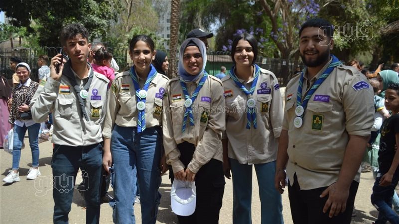 فرق الكشافة، فيتو
