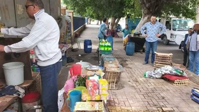 حي شرق بالإسكندرية يتحفظ على 210 حالات إشغال طريق 