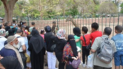 بيوت الزرافة والسبع تجذب زوار حديقة الحيوان في ثالث أيام عيد الفطر (صور)