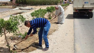 مسئول بالزراعة يستعرض أهداف مبادرة 100 مليون شجرة 