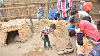 استمتع برحلة مع الحيوانات والزواحف بـ 20 جنيها في قرية الطفل 