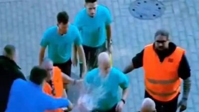 إلغاء مباراة في ألمانيا بعد قيام الجماهير بضرب الحكم بالبيرة (فيديو)