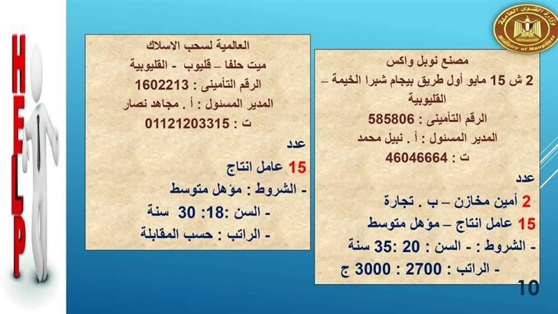 وظائف بالقليوبية،