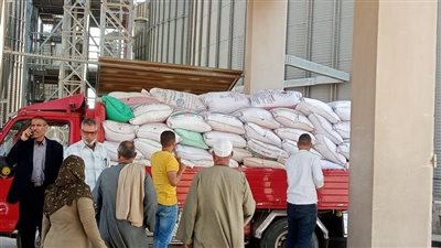 محافظ المنوفية: توريد 750 طن قمح ومتابعة مستمرة لانتظام عمليات التوريد