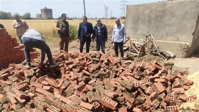 حملات مكثفة ضد التعديات على الأراضي الزراعية وأملاك الدولة في طلخا بالدقهلية