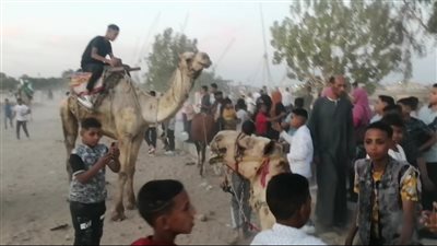 تأجير الجمال يسبب الفرحة للأطفال في رابع أيام العيد بالأقصر(فيديو) 